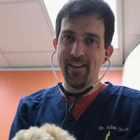 Adam Davis, DVM ico