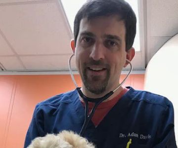 Adam Davis, DVM