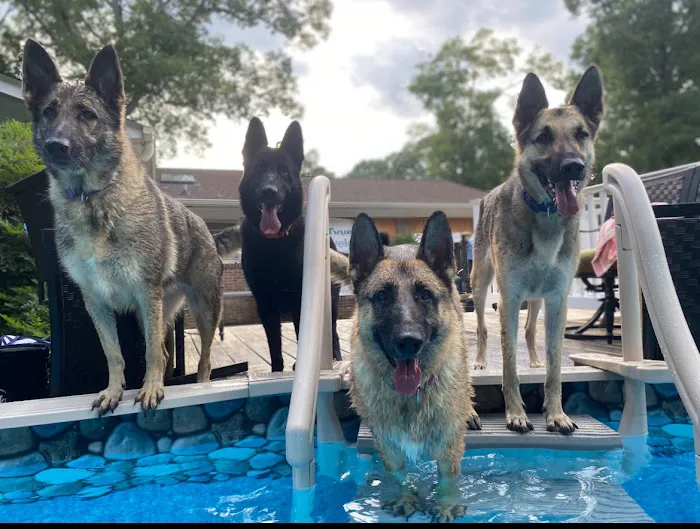 East Greenville Animal Hospital 5