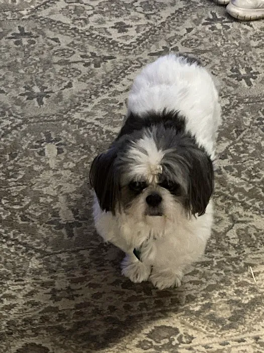 East Greenville Animal Hospital 9