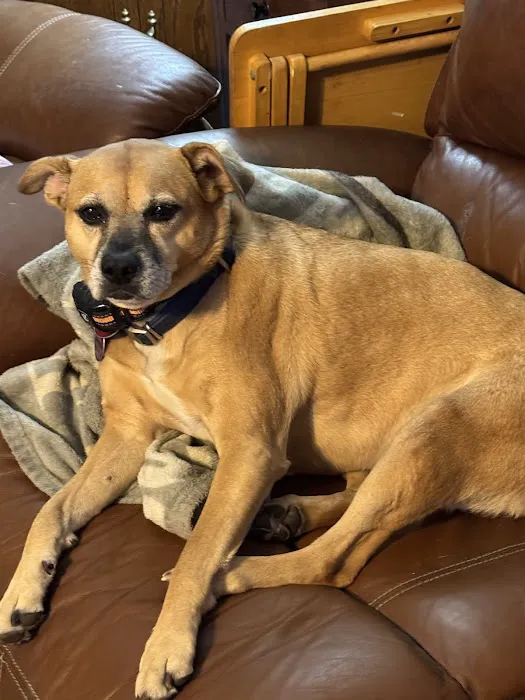 East Greenville Animal Hospital 3