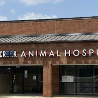 Sugar Creek Animal Hospital ico