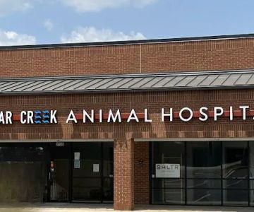 Sugar Creek Animal Hospital