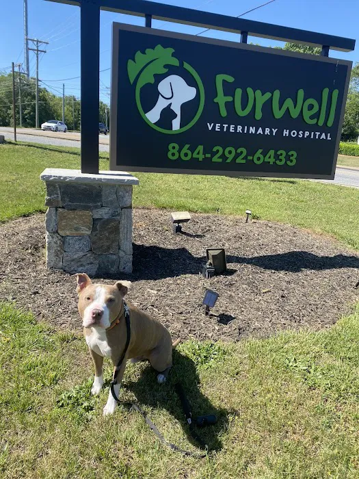 FurWell Veterinary Hospital 9