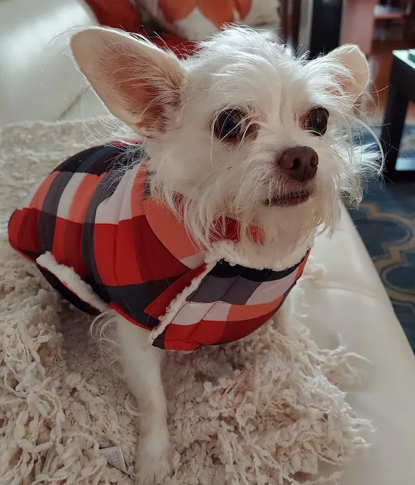 Banfield Pet Hospital 1