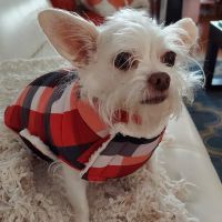 Banfield Pet Hospital ico