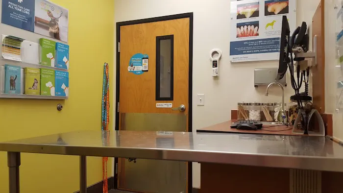 Banfield Pet Hospital 10