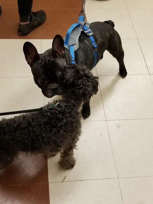 Banfield Pet Hospital 9