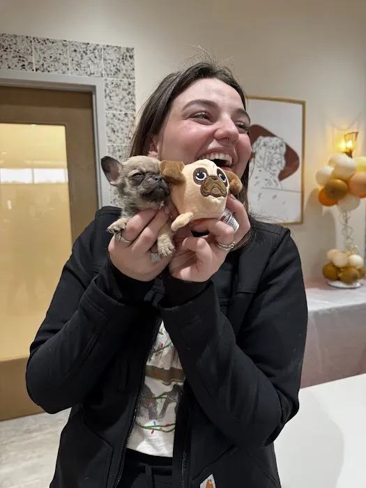 Cleveland Park Animal Hospital Greer 2
