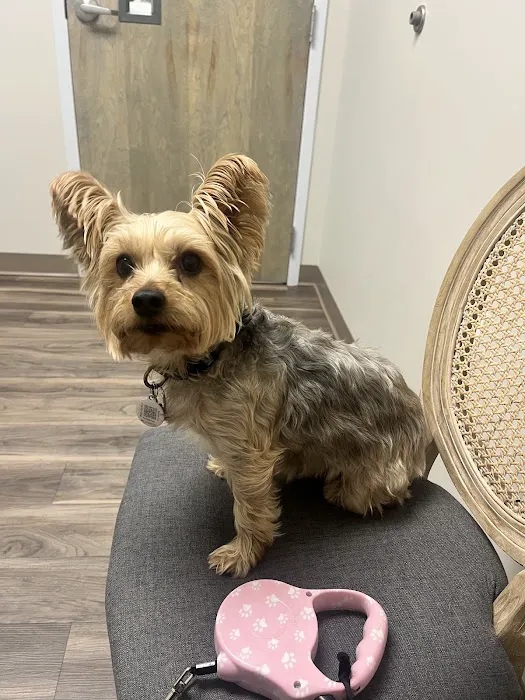 Augusta Road Animal Hospital 7