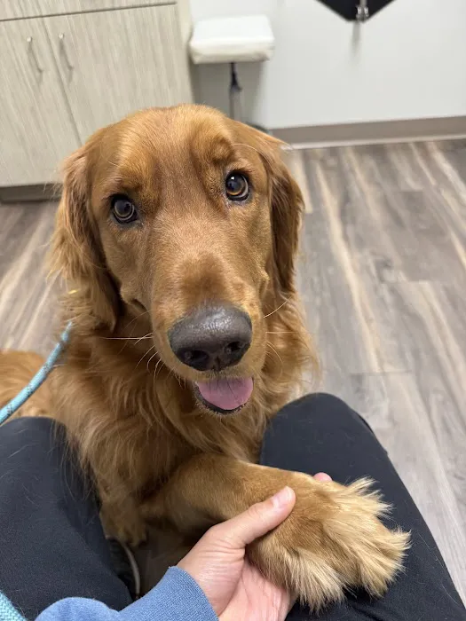 Augusta Road Animal Hospital 5