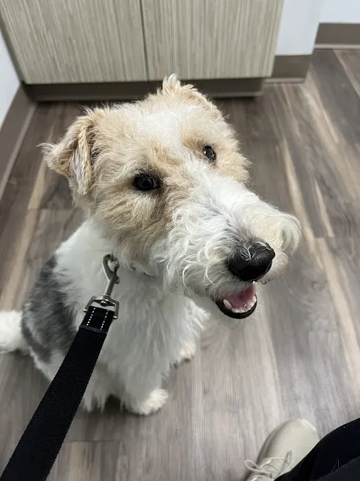 Augusta Road Animal Hospital 9