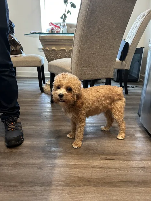 Elmore Road Veterinary Clinic 3