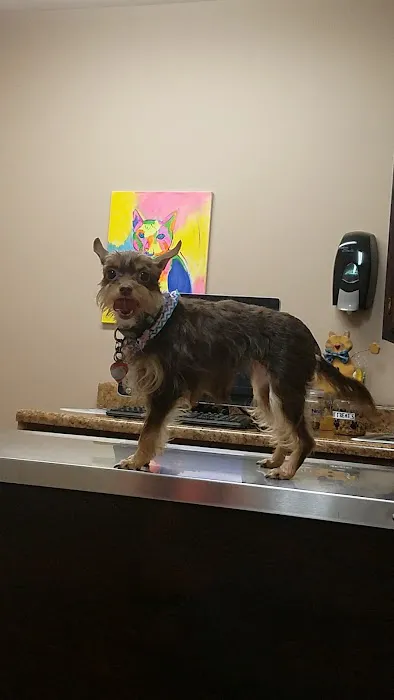 Elmore Road Veterinary Clinic 1