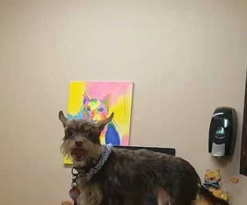 Elmore Road Veterinary Clinic