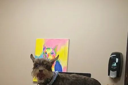 Elmore Road Veterinary Clinic