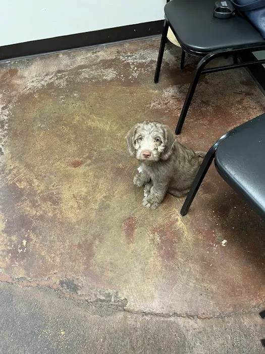 Elmore Road Veterinary Clinic 8