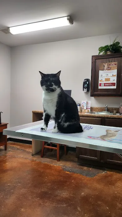 Elmore Road Veterinary Clinic 4