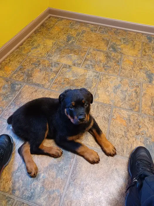 Greenbrook Companion Animal Hospital 7