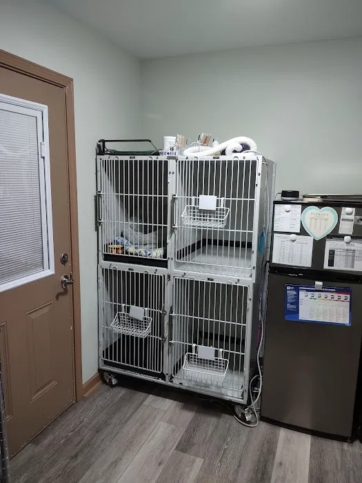 Greenbrook Companion Animal Hospital 2