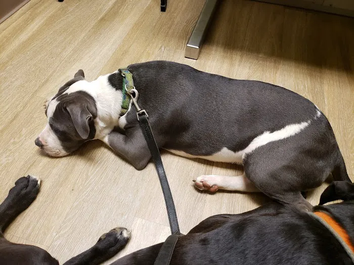 Hernando Animal Clinic 6