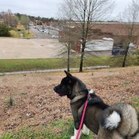 Hernando Animal Clinic ico