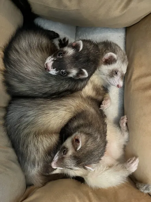 Hernando Animal Clinic 9