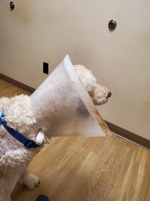 Hernando Animal Clinic 8