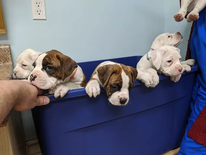 Animal Medical Center of Hernando 2