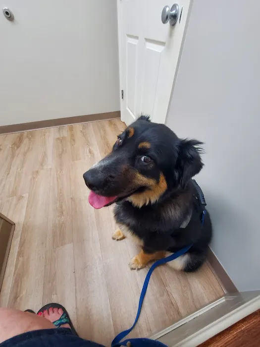 Animal Medical Center of Hernando 4
