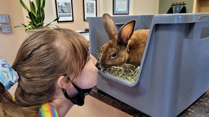 All Creatures Pet Hospital 7
