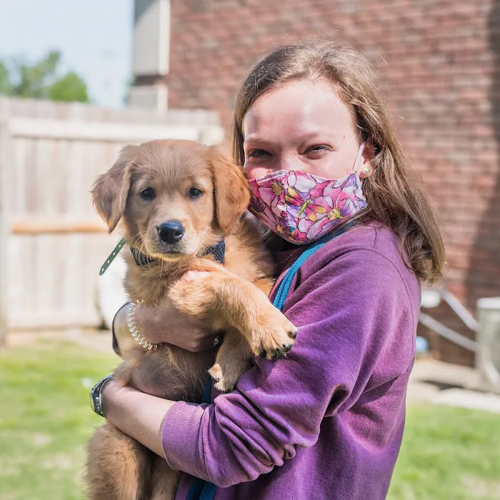 The Pet Hospitals Collierville 8