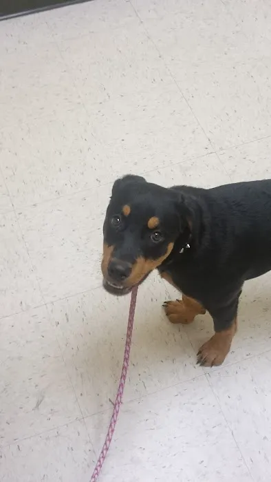 Banfield Pet Hospital 2