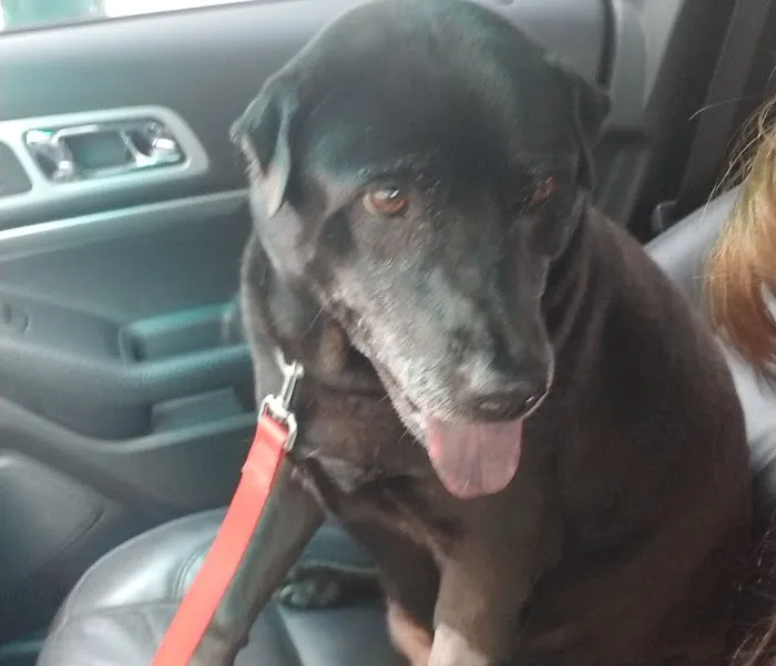 Banfield Pet Hospital 5