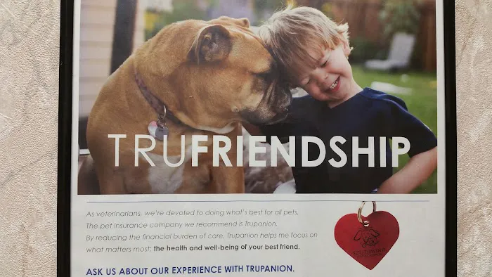 Southwind Animal Hospital 1