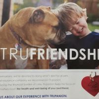 Southwind Animal Hospital ico
