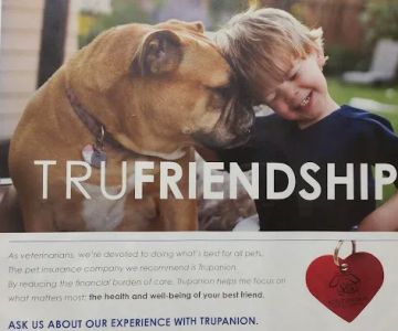 Southwind Animal Hospital