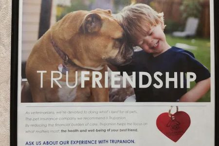Southwind Animal Hospital
