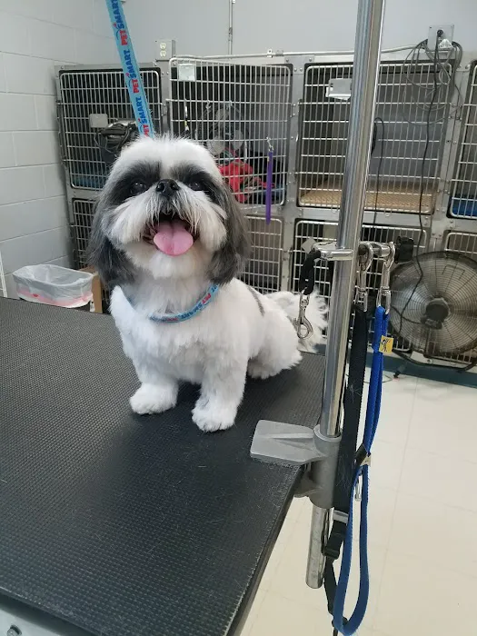 Southwind Animal Hospital 2