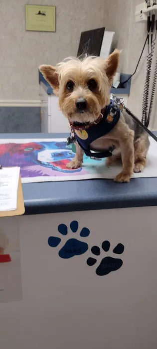 Southwind Animal Hospital 4