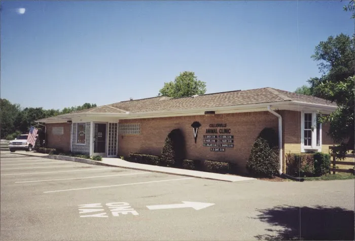 Collierville Animal Clinic 10