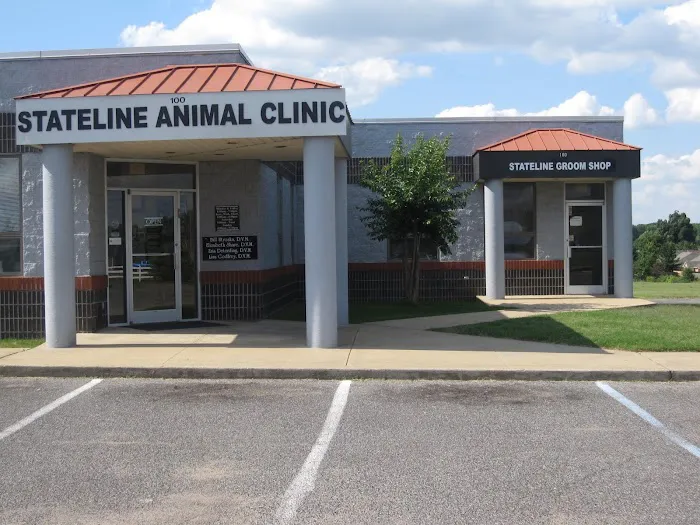 Stateline Animal Clinic: Share Elizabeth DVM 12