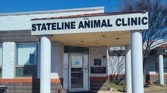 Stateline Animal Clinic 12