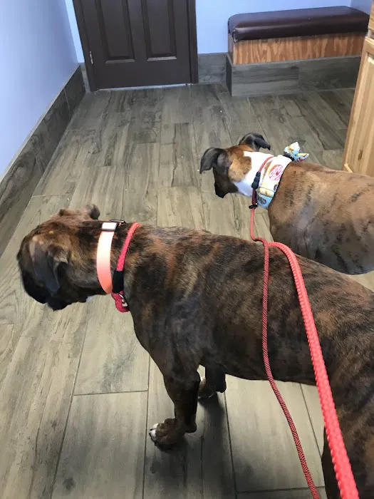 Desoto County Animal Clinic 8