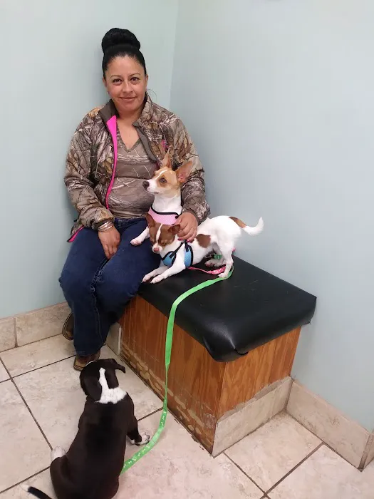 Desoto County Animal Clinic 7