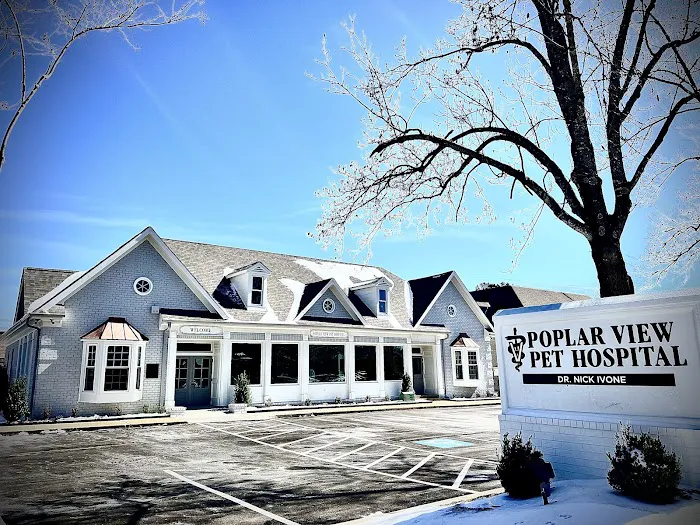 Poplar View Pet Hospital 2