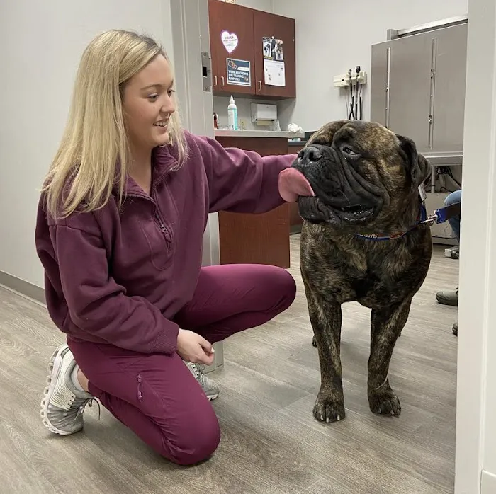 Kelsey Canine Medical Center 12