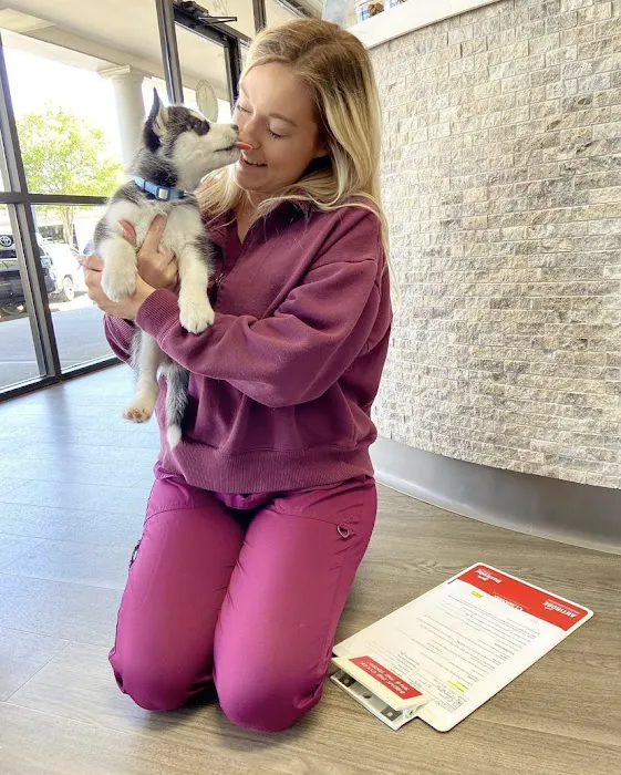 Kelsey Canine Medical Center 12