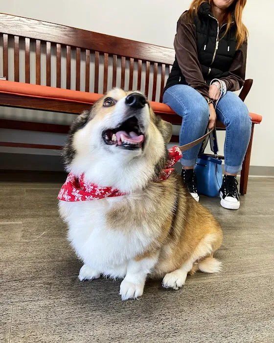 Kelsey Canine Medical Center 12