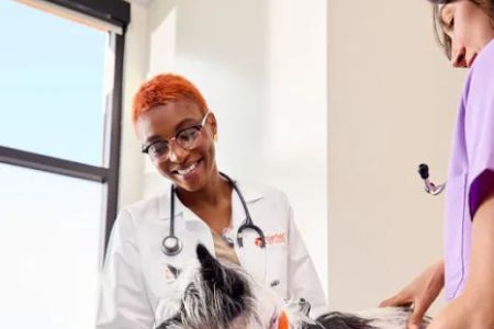 Banfield Pet Hospital